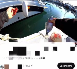 El Govern detecta quatre casos d’infraccions greus de pesca il·legal que podrien ascendir a 30.000 euros de multa.
