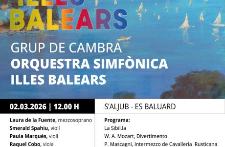 Concert de l'Orquestra Simfònica al Museu Es Baluard