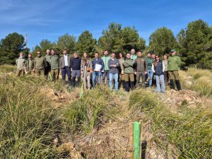 El Govern finalitza la primera fase de reforestació al Parc Natural de Llevant amb més de 20.000 arbres plantats