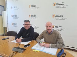 Un nou sistema de rotació de cultius garantirà la viabilitat de la patata a les Balears