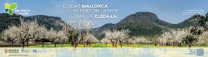 Una campanya de conscienciació rep els turistes a l’aeroport per fomentar el respecte a Mallorca