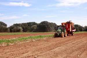 Els fertilitzants pugen un 13 per cent mentre el gasoil i els pinsos es contenen