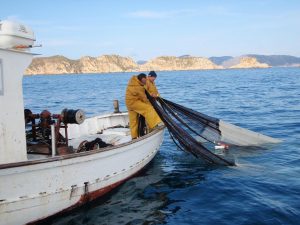 La Unió Europea prorroga la pesca tradicional de jonquillo i gerret a les Illes Balears fins el 2029