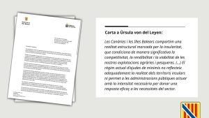 Les Balears i les Canàries reclamen a la Comissió Europea un tractament específic per als ajuts de minimis