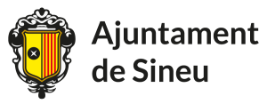 Sineu aprova el pla especial del conjunt històric per agilitzar les llicències d’obra
