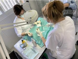 El Servei de Salut contractarà 1.304 professionals per cobrir les vacances d’estiu