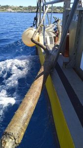 PortsIB retira més de set tones de residus a les Balears durant el maig