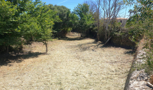 El Govern neteja més de sis quilòmetres de torrents a cinc municipis de Mallorca