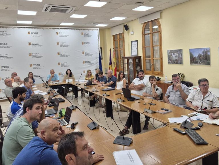 El Govern reuneix el grup d’experts per protegir els taurons i les rajades