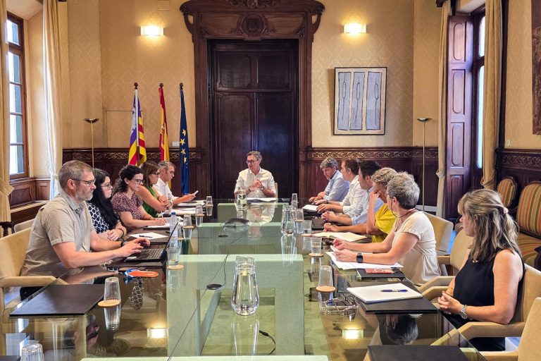 El Govern constitueix la Comissió de la Dada per coordinar la informació pública