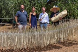 El Consell de Mallorca protegeix l’obra de palma com a bé d’interès cultural immaterial
