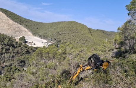 Treballs de gestió i neteja forestal en una zona de bosc de les Illes Balears