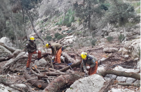 Treballs de prevenció d'incendis forestals executats per l'IBANAT en una zona forestal