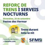Un tren de Serveis Ferroviaris de Mallorca a les vies.