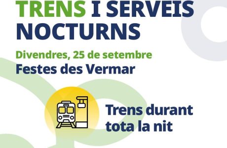Un tren de Serveis Ferroviaris de Mallorca a les vies.