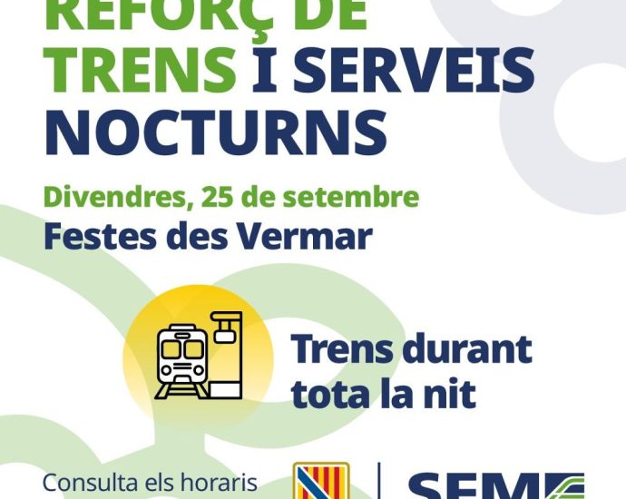 Un tren de Serveis Ferroviaris de Mallorca a les vies.