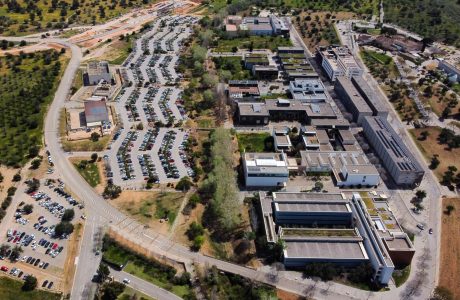 Terrenys del ParcBit on s'ubicaran les noves instal·lacions de la UIB