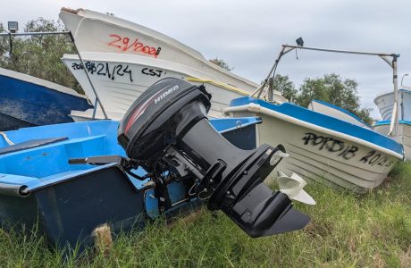 Pasteres dipositades en les instal·lacions d'un port de les Illes Balears