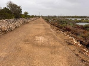 S’Albufera de Mallorca tancarà els accessos del 5 al 18 d’octubre per obres de millora