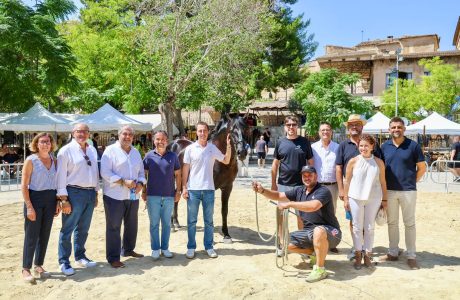 Exposició i exhibició durant la Diada del Cavall Mallorquí a Sineu