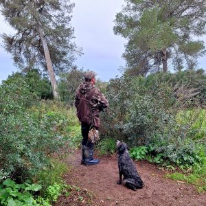 La veda general de caça a Mallorca s’obre el 12 d’octubre i s’estendrà fins al 10 de febrer
