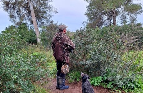 Terreny rústic de Mallorca on es practica l'activitat de la caça.