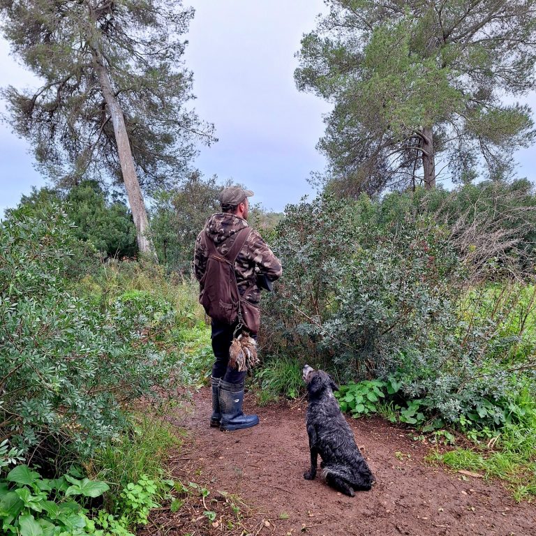 La veda general de caça a Mallorca s’obre el 12 d’octubre i s’estendrà fins al 10 de febrer