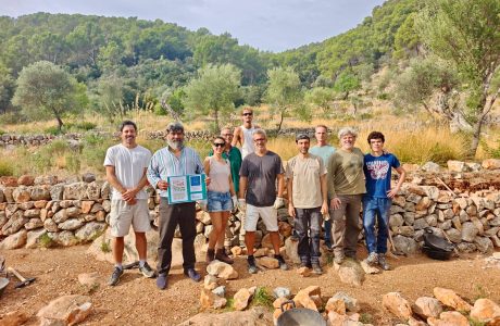 Detall d'un mur de pedra en sec a la finca de Raixa