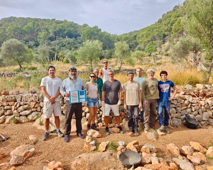 Detall d'un mur de pedra en sec a la finca de Raixa